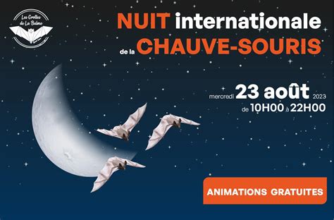 La 27e Nuit Internationale Des Chauves Souris Aux Grottes De La Balme