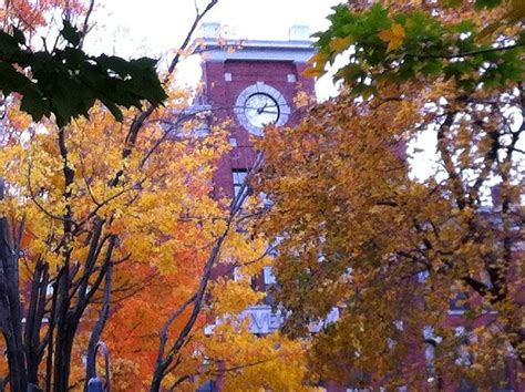 Fall At Clark University Ferry Building San Francisco San Francisco Ferry University Campus