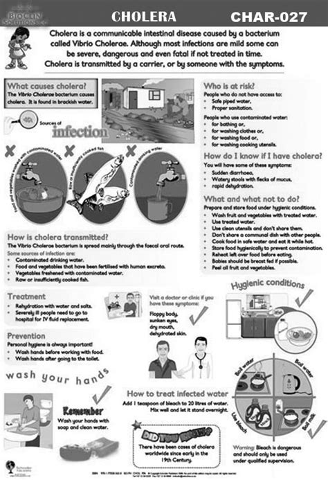 Chart X Cm Laminated Cholera Bioclin Solutions