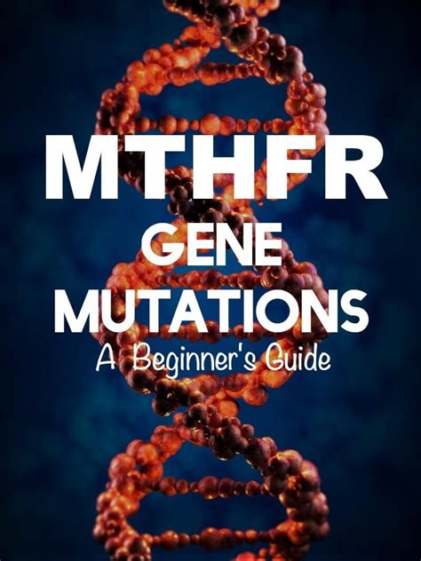 Mthfr Gene Mutations A Beginners Guide