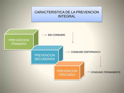 Fundamentos De La Prevenci N Integral Ppt