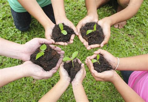 Ecology: Tsanangudzo, Hunhu uye Mapazi eChidzidzo