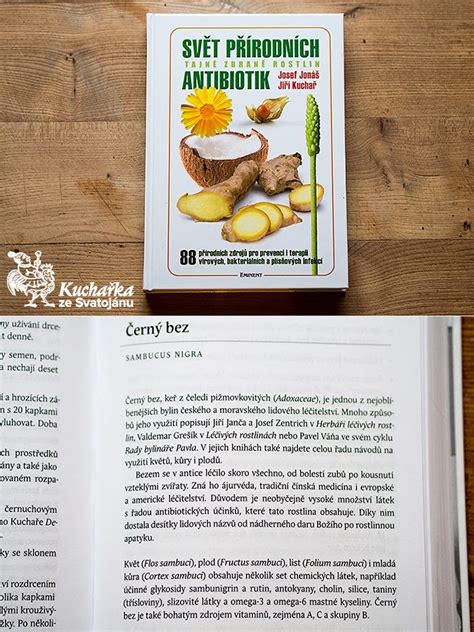 Kuchařka ze Svatojánu: SVĚT PŘÍRODNÍCH ANTIBIOTIK