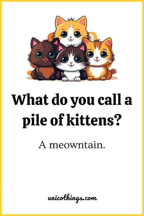 clean jokes    laugh hard