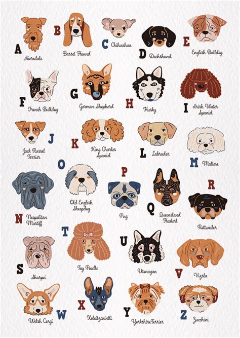 Postcard Dog Alphabet - Nisan Design