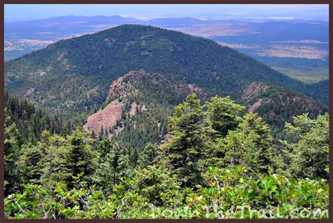 Bill Williams Mountain Trail 21 To The Lookout Tower Map And Guide