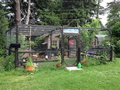 Coop Tales - The Evolution of my Coop | BackYard Chickens - Learn How ...