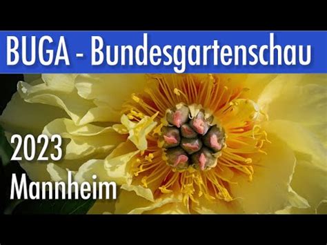 Buga Bundesgartenschau Mannheim Mehr Ein Besucht Als Ein