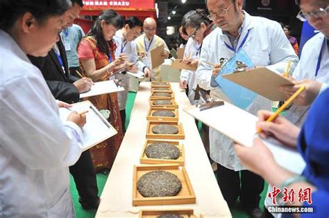 雲南普洱舉行鬥茶大賽 101款茶樣角逐茶王 每日頭條