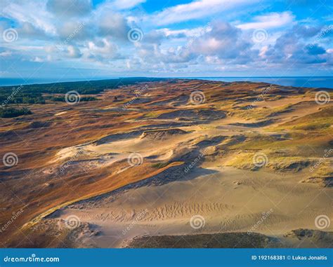 Beautiful Grey Dunes Dead Dunes At The Curonian Spit In Nida Neringa