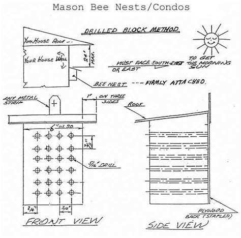 Mason Bee House Plans: How To Create A Safe Haven For Pollinators ...