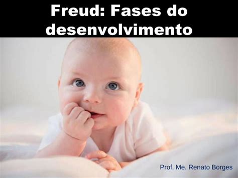 Pdf Freud Fases Do Desenvolvimento Br · As Três