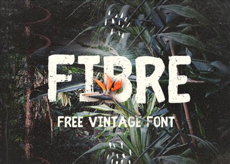 40 of the Best Free Typography Fonts Chosen by Designers – Web Design ...