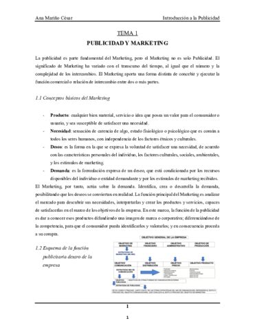 TEMARIO COMPLETO PUBLI Pdf