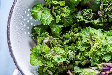 Flor Fresca Dos Brotos De Bruxelas E De Couve Imagem De Stock Imagem