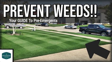 Your Guide To Pre Emergents What They Do And Don T Do For Your Lawn