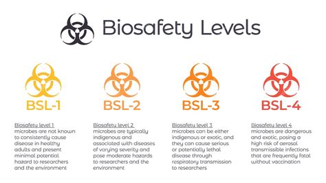 Premium Vector Biosafety Levels Bsl Vector Illustration Infographic