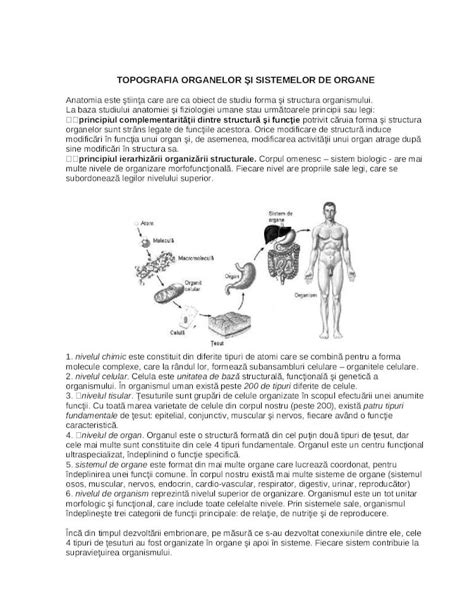 DOC Topografia Organelor Şi Sistemelor de Organe Meditaţii DOKUMEN TIPS