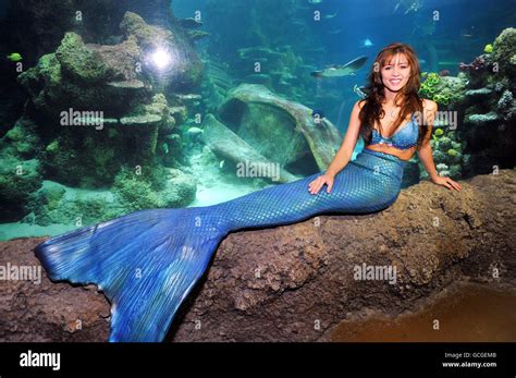 Weeki Wachee Mermaids London Stock Photo 111000859 Alamy