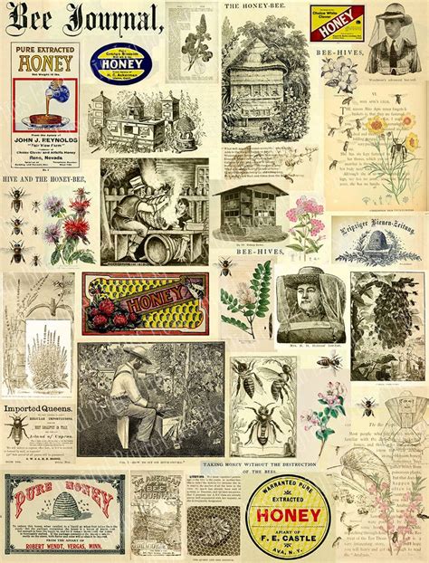 Printable Bee Ephemera Bees Bee Keepers Hives And Pollen Plants Digital Collage Sheet Etsy