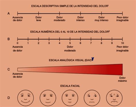 Escalas Para Valorar El Dolor