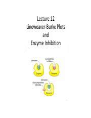 F Enzyme Inhibitors Pdf Lecture Lineweaver Burke Plots And