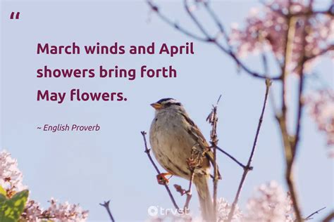 50 March Quotes and Sayings to Welcome the Warmer Weather