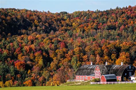 The 5 Best States For Fall Foliage This Autumn