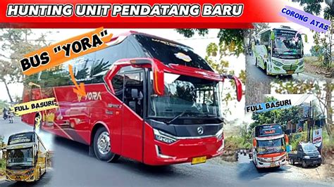 TELOLET BASURIHUNTING HARI INI BANYAK BUS MENGULAR SAKSIKAN DI AKHIR