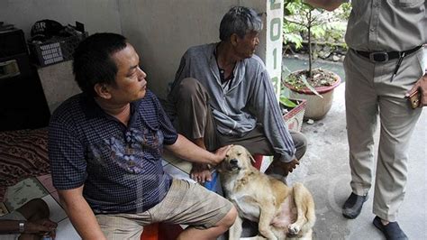 Hingga April Ada Kasus Kematian Karena Rabies Kemenkes Segera