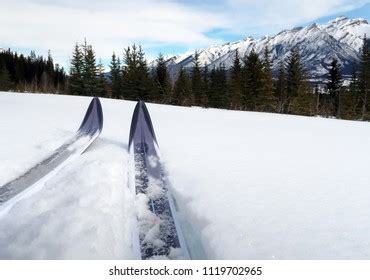 X Country Skiing Images Stock Photos Vectors Shutterstock