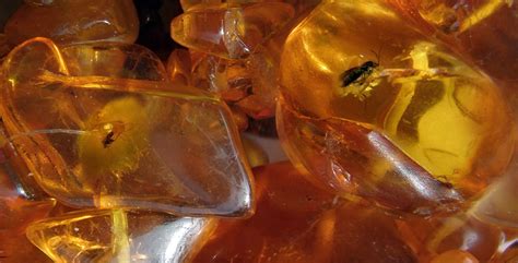 Самые красивые украшения из янтаря