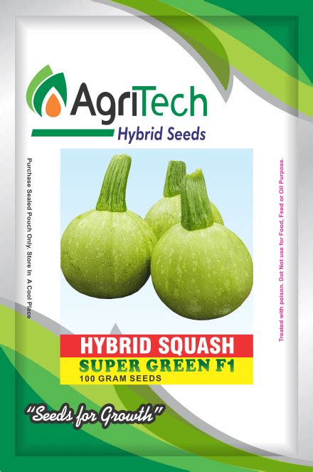 Super Green F1 Hybrid Squashtindi Agritech Green Gold Agri Seedspvtltd