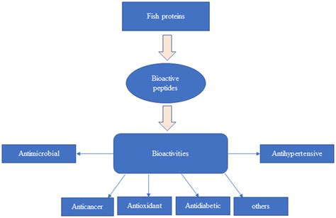 Biological Activities Of Bioactive Peptides Download Scientific Diagram