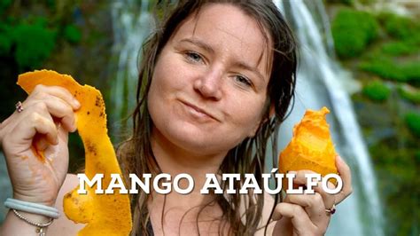 La Historia Del Mango Ataúlfo Una Fruta 100 Mexicana Chiapas Youtube