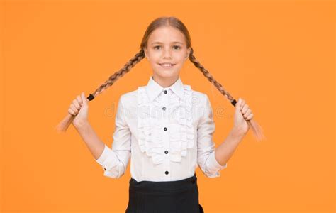 Concepto De Graduación Educación Primaria Escolar Perfecta Bienvenido