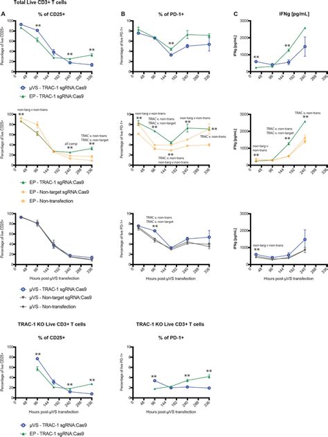 Surface Marker Expression And Cytokine Secretion Levels Minimally