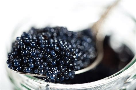 O Que É Caviar E De Onde Vem - Caviar é alimento de luxo que consiste em ovas de peixe