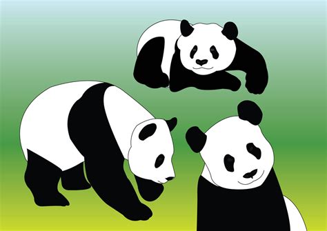 Panda Vectors Vector Art & Graphics | freevector.com