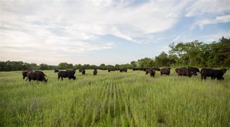 Award Program Comes To Oklahoma Morning Ag Clips