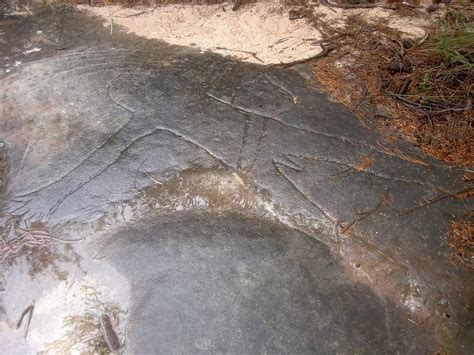 Aboriginal Heritage Track Walking Track