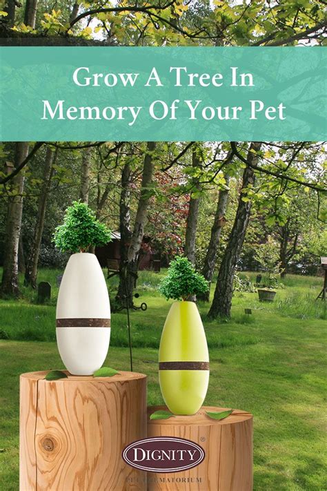 Grow A Tree In Memory Of Your Pet With A Biotree Urn Dignity Pet