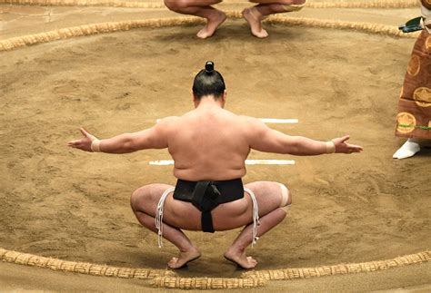 Discografia De Sumo Descargar Gratis 1