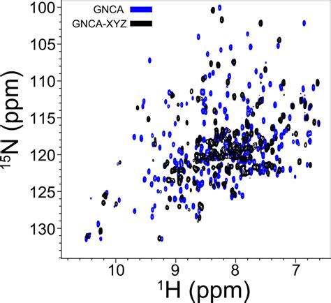 Hsqc Nmr Data Indicate That Gnca Xyz Is More Dynamic Than Gnca