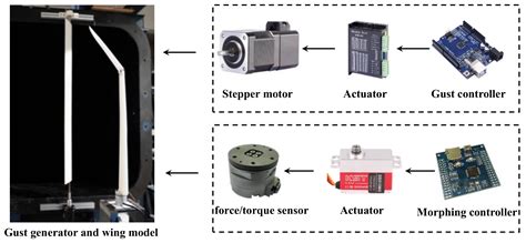 gust response  spanwise morphing wing  simulation  wind tunnel