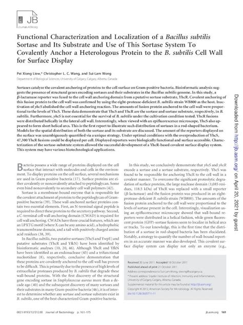 Pdf Functional Characterization And Localization Of A Bacillus