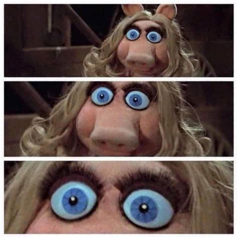 Miss Piggy Meme Miss Piggy Quotes Confused Pictures Funny Memes