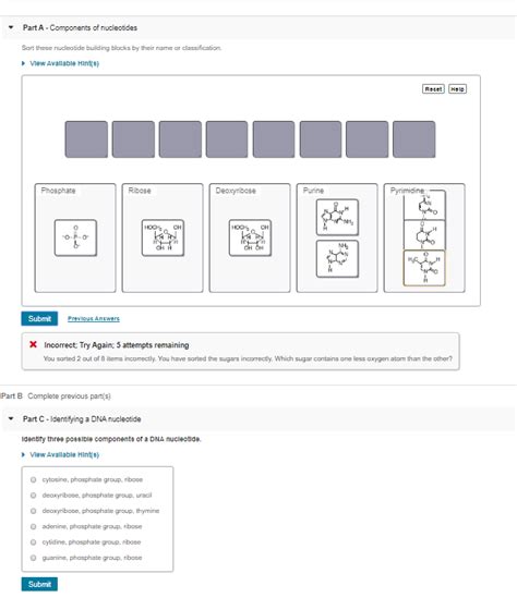 Solved Part A - Components of nucleotides Sort these | Chegg.com