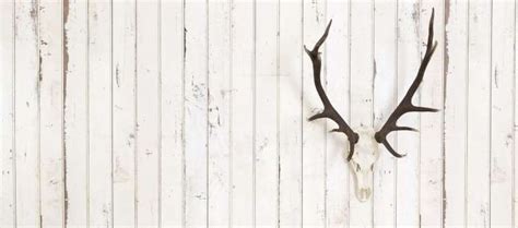 Bowhunting Deer - A Beginners Guide » targetcrazy.com