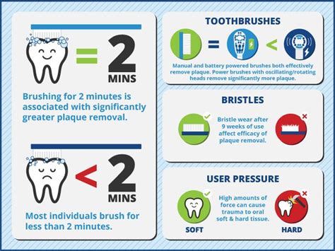 Infographic Showing Facts About Toothbrushing Patient Education